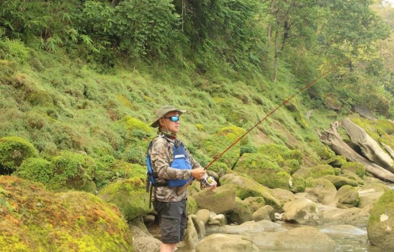 Catching live fish