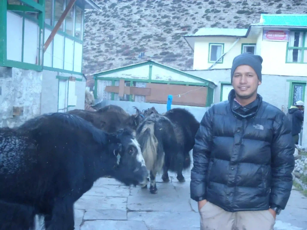 Saroj with cows